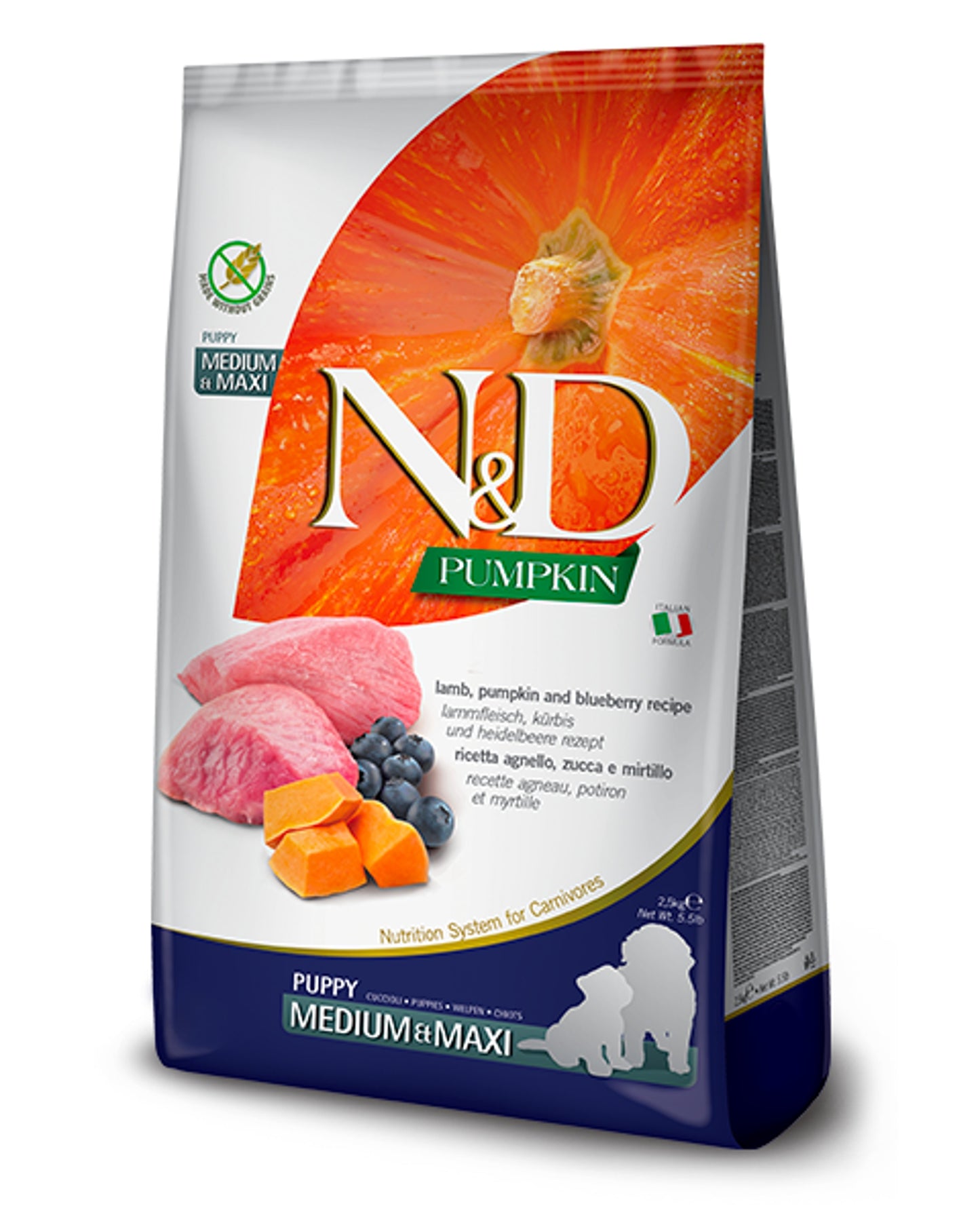 N&D Pumpkin Puppy - Agnello e Mirtillo - Medium/Maxi