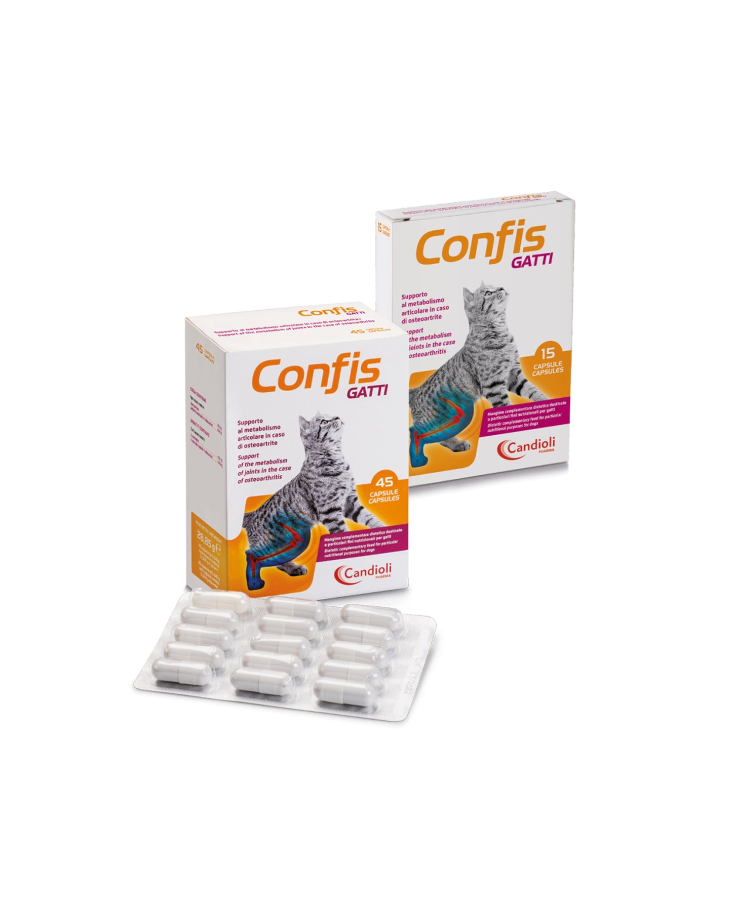 Candioli Confis Gatto