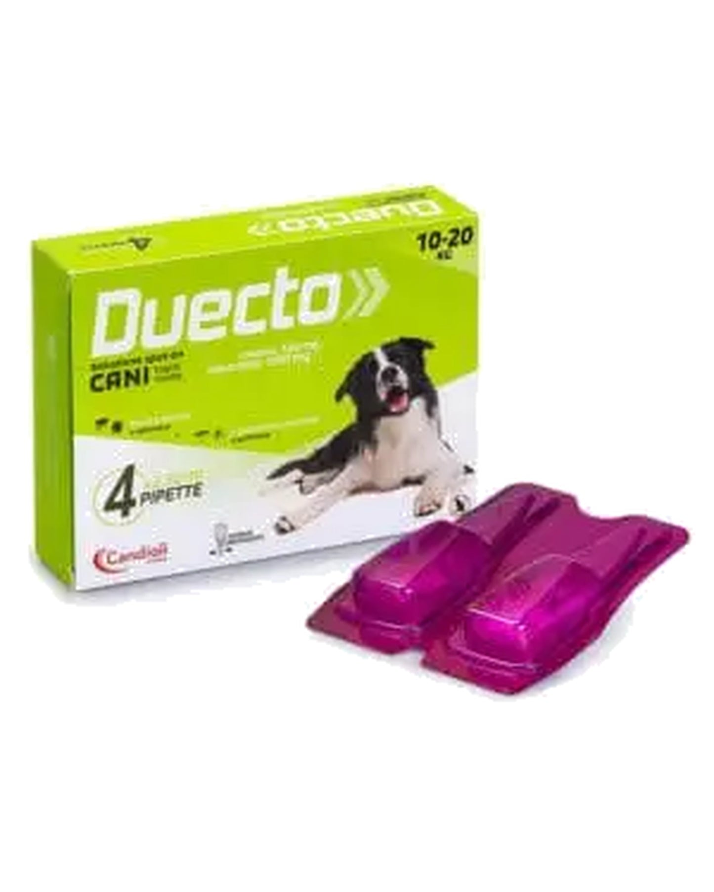 Duecto Spot on 4 pipette