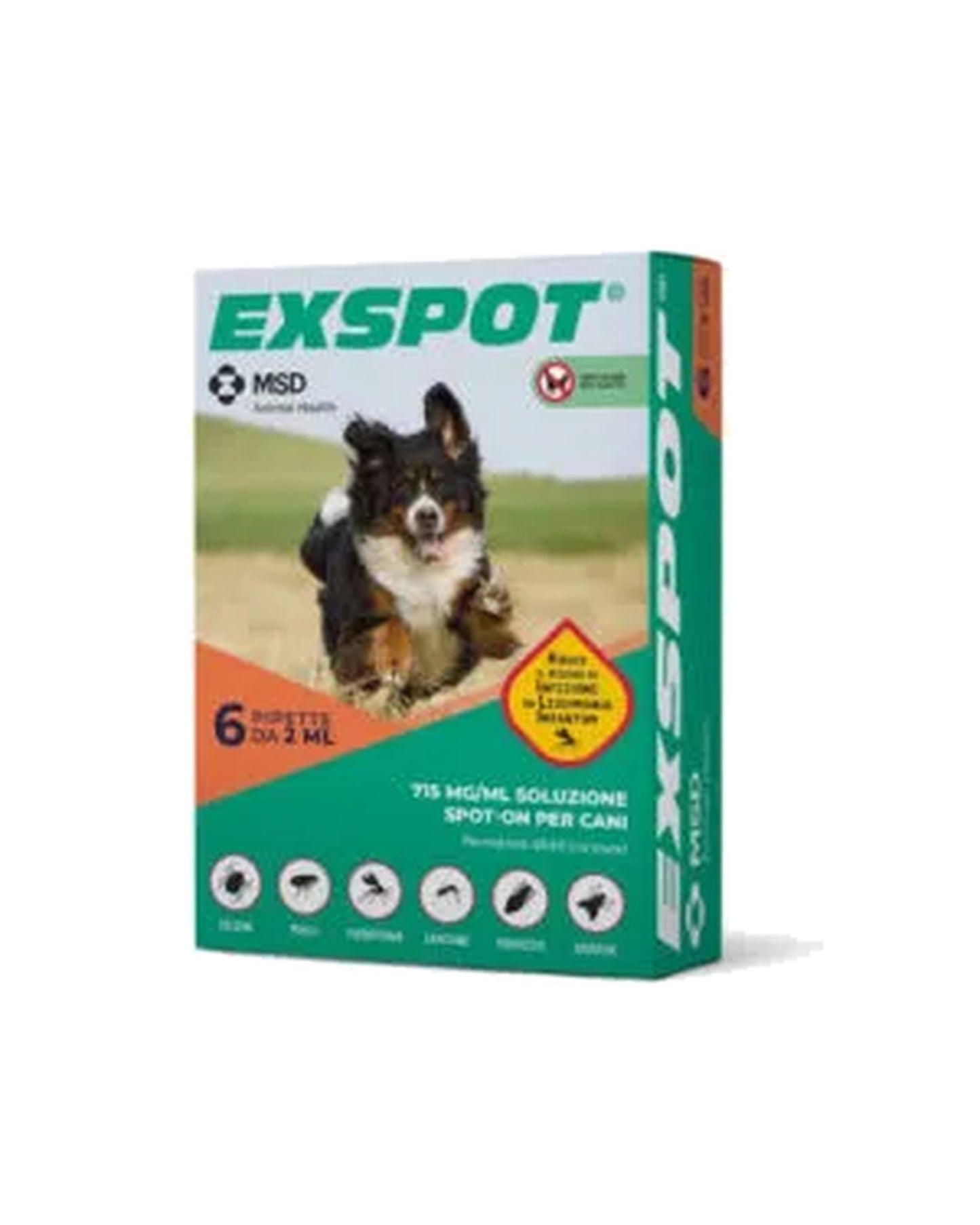 Exspot