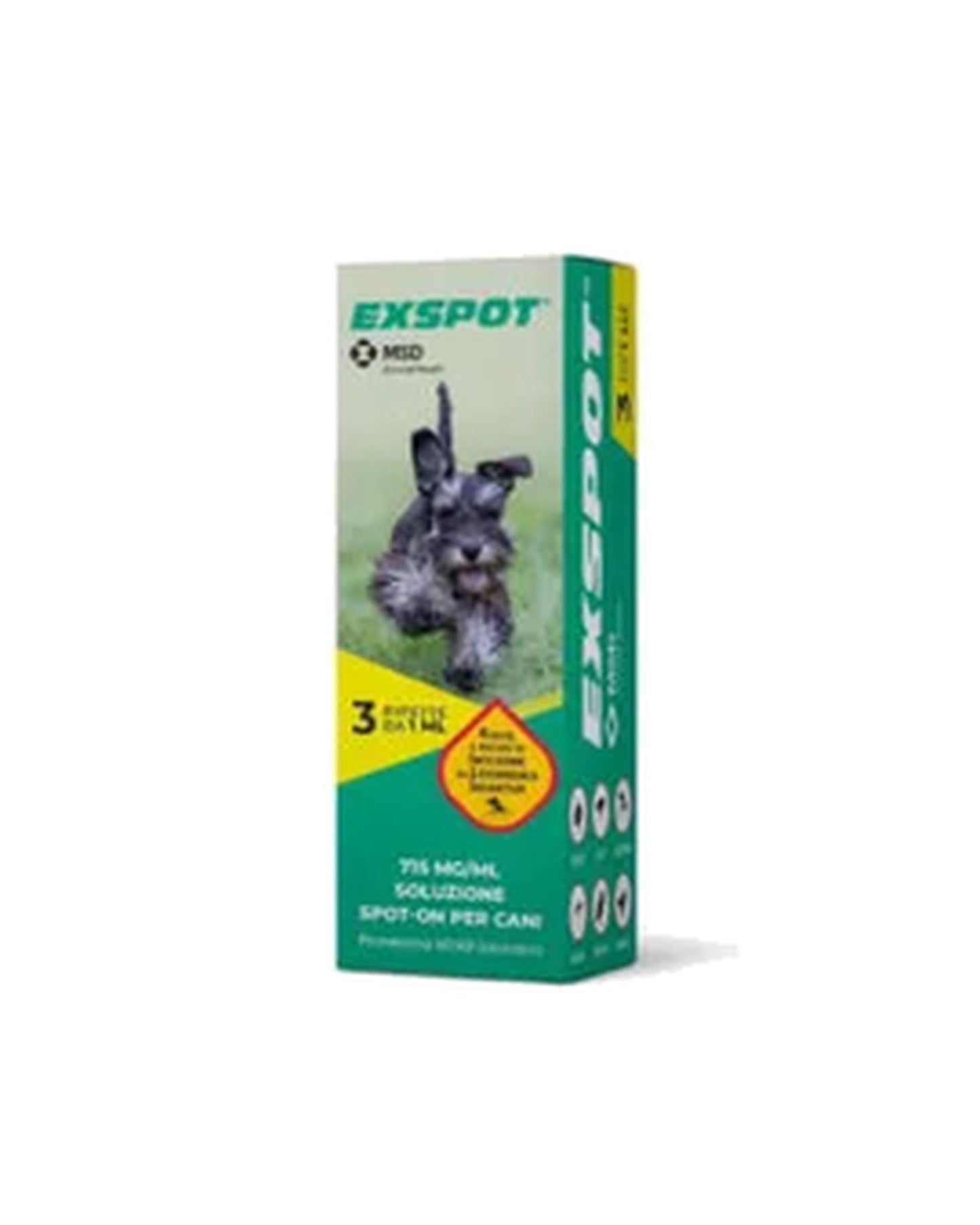 Exspot