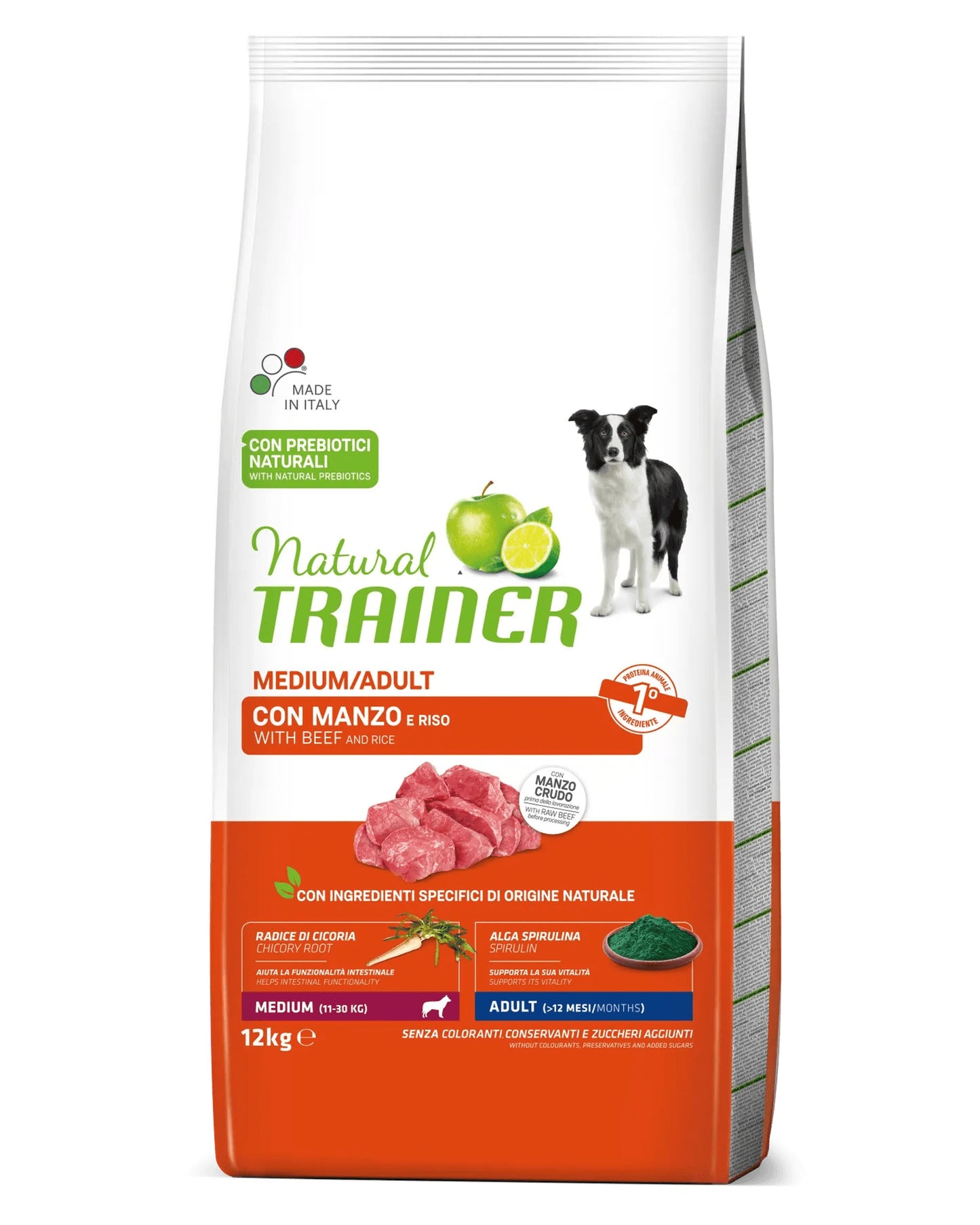 Trainer Adult - Manzo - Medium
