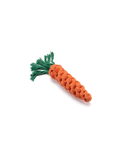 Carota in Corda
