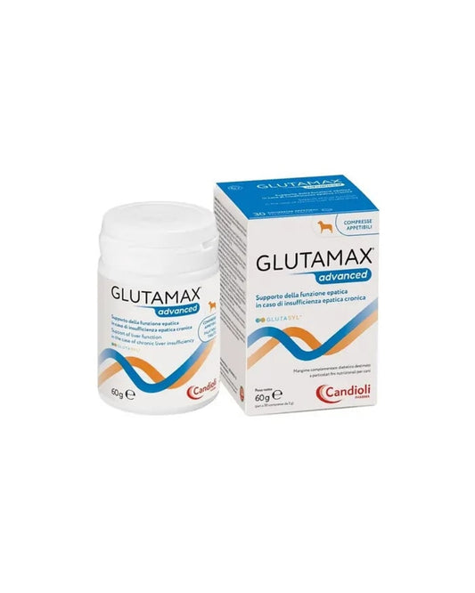 Candioli Glutamax Advanced