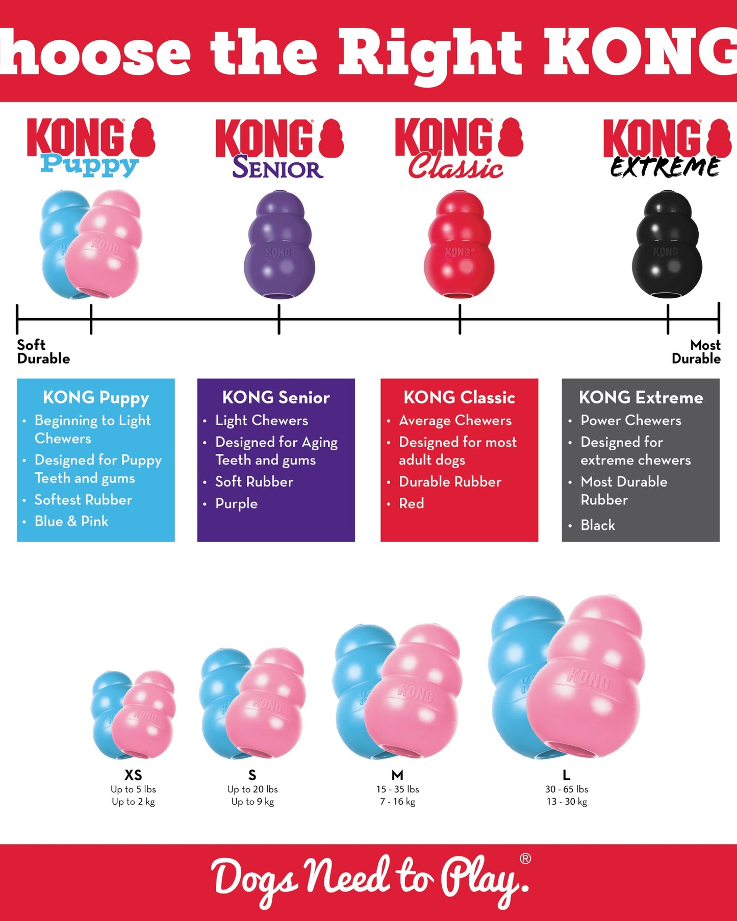 Kong Puppy