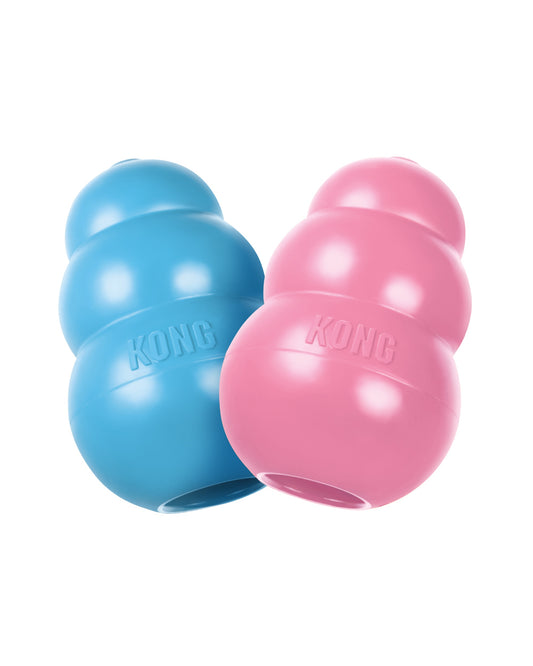 Kong Puppy