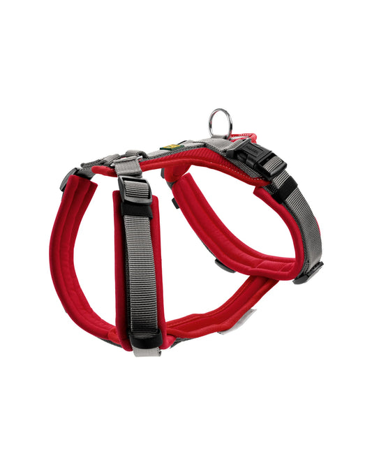 Pettorina Hunter Harness Maldon
