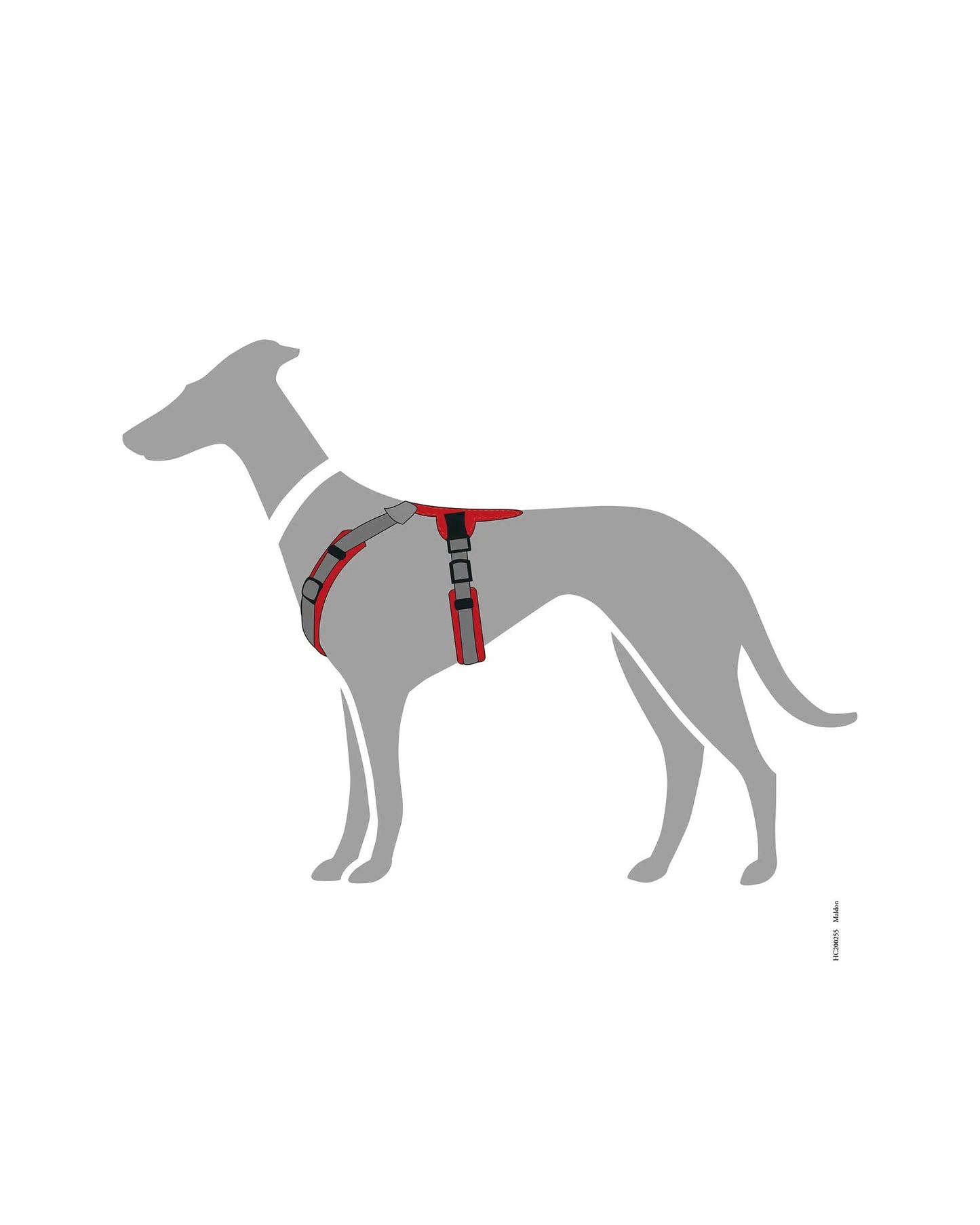 Pettorina Hunter Harness Maldon