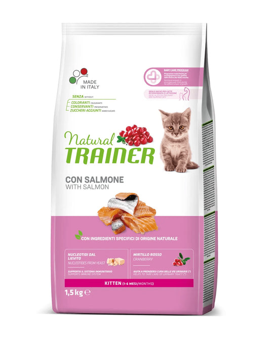 Trainer Kitten - Salmone